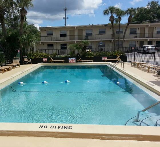 POOL.jpg