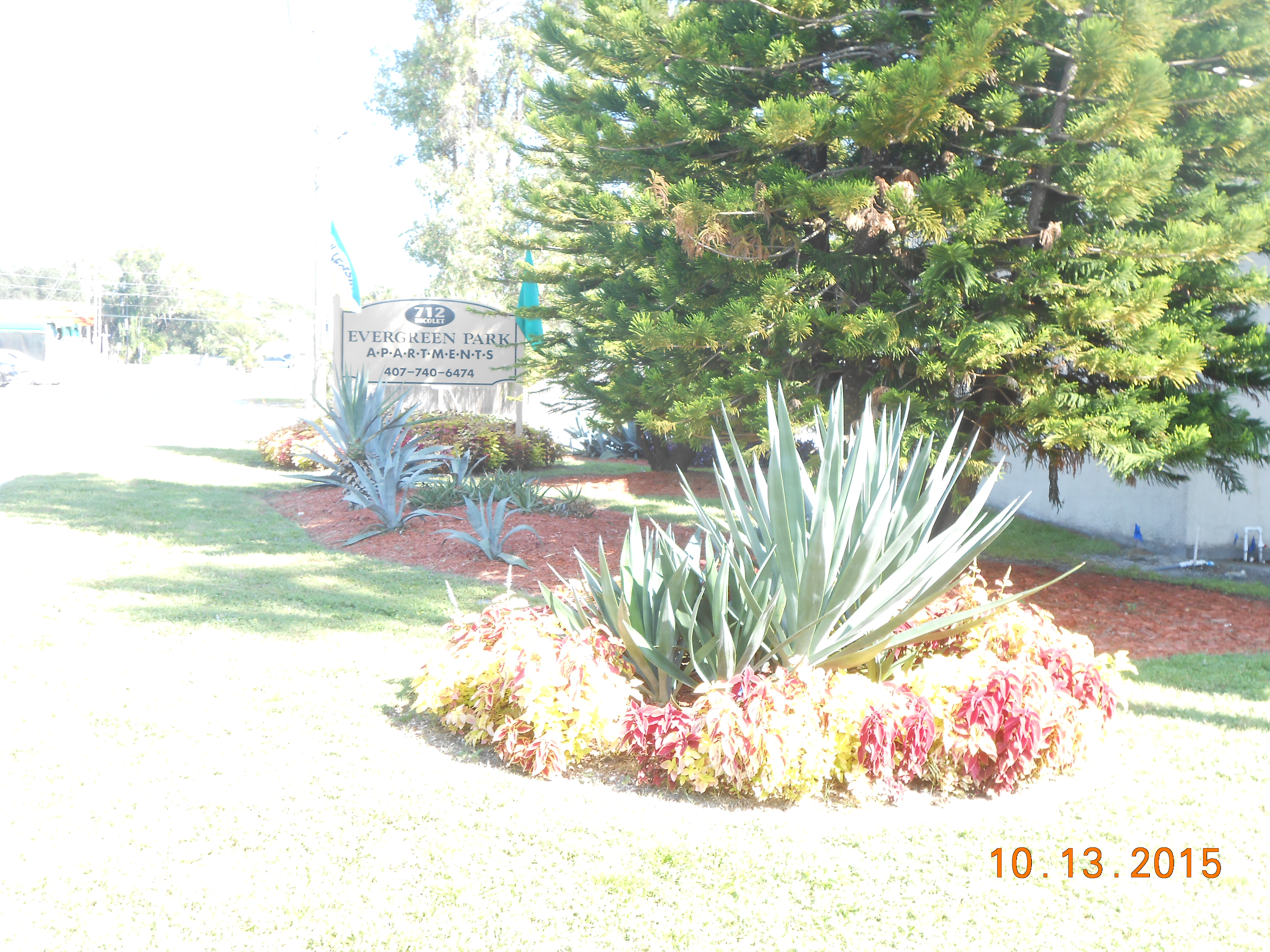 DSCN4332.JPG